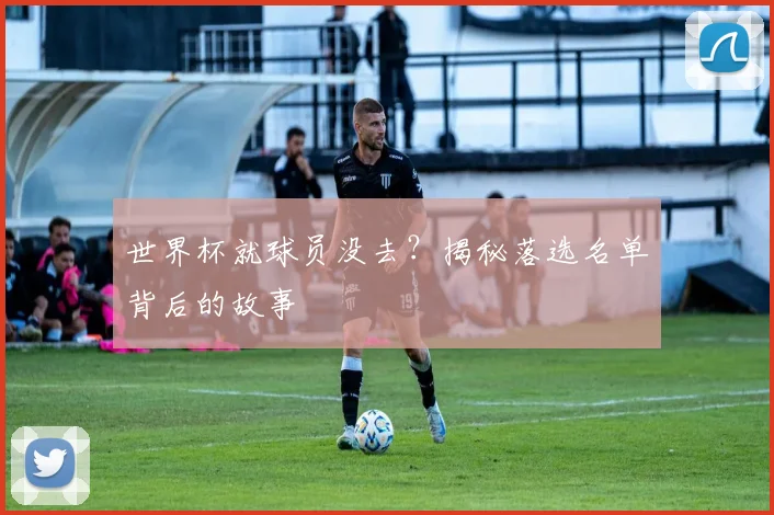 世界杯就球员没去?揭秘落选名单背后的故事
