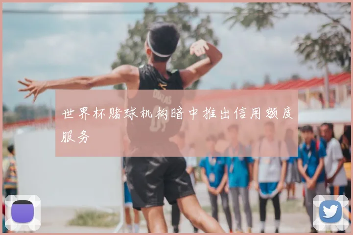 世界杯赌球机构暗中推出信用额度服务