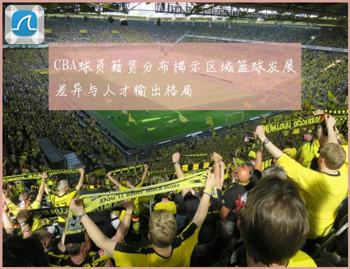 CBA球员籍贯分布揭示区域篮球发展差异与人才输出格局