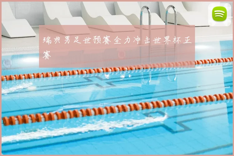 瑞典男足世预赛全力冲击世界杯正赛