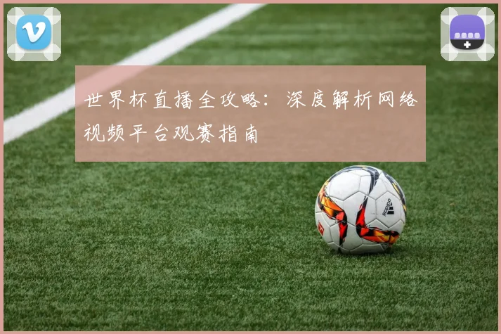 世界杯直播全攻略：深度解析网络视频平台观赛指南