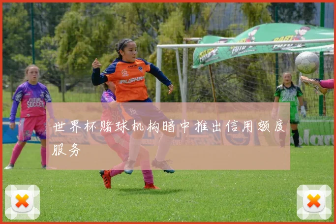 世界杯赌球机构暗中推出信用额度服务