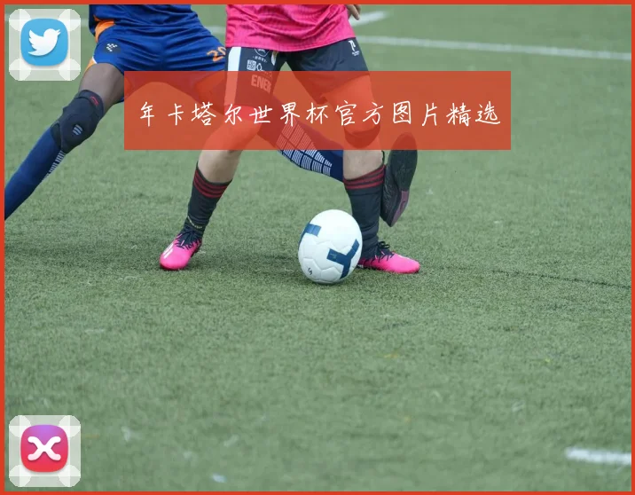 年卡塔尔世界杯官方图片精选