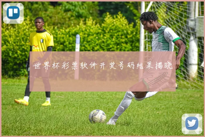 世界杯彩票软件开奖号码结果揭晓