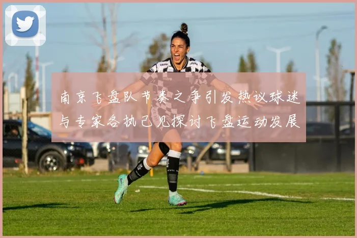 南京飞盘队节奏之争引发热议球迷与专家各执己见探讨飞盘运动发展