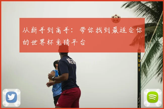 从新手到高手：带你找到最适合你的世界杯竞猜平台