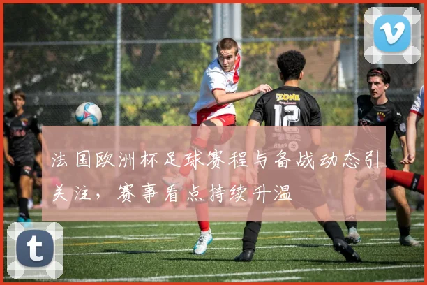 法国欧洲杯足球赛程与备战动态引关注，赛事看点持续升温