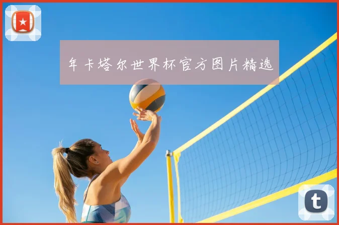 年卡塔尔世界杯官方图片精选