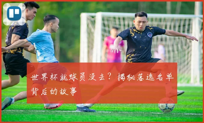 世界杯就球员没去?揭秘落选名单背后的故事