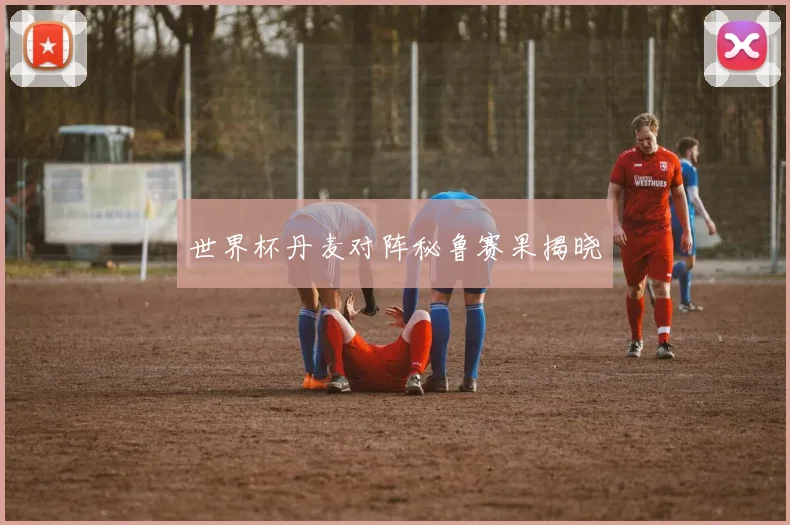 世界杯丹麦对阵秘鲁赛果揭晓