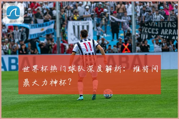 世界杯热门球队深度解析：谁将问鼎大力神杯？