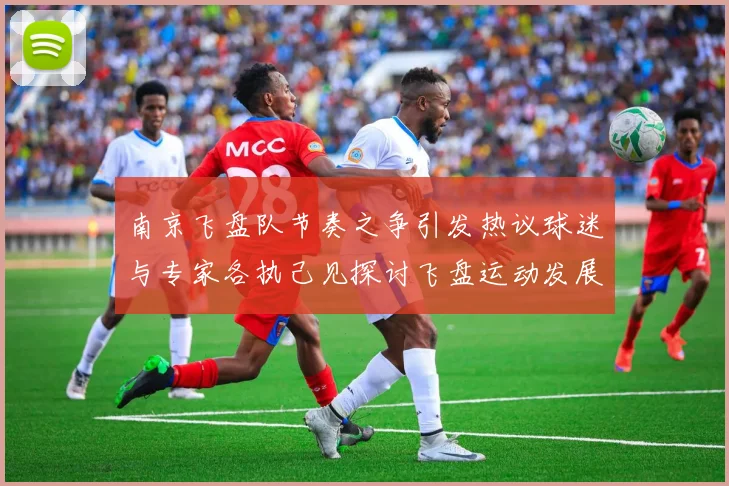南京飞盘队节奏之争引发热议球迷与专家各执己见探讨飞盘运动发展
